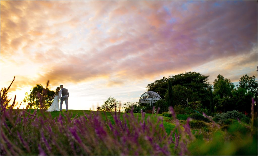 pink sunset for bride and groom at south coast botanical gardens