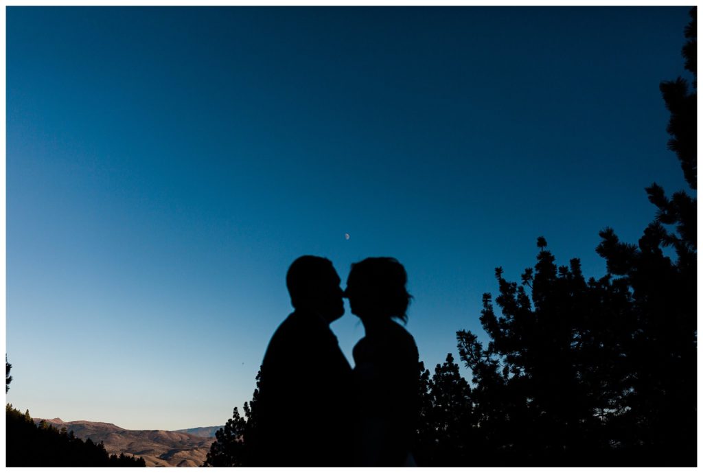 silhouette portrait with moon in background