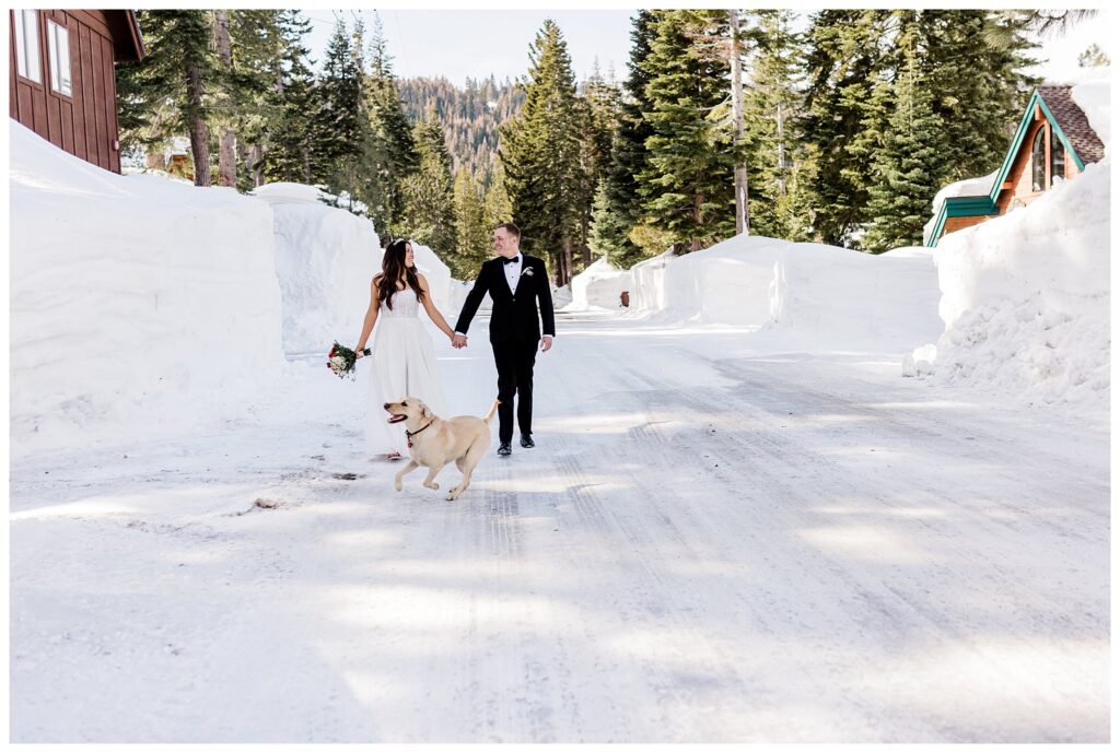 lake tahoe wedding couple walking holding hands with their dog in the snow