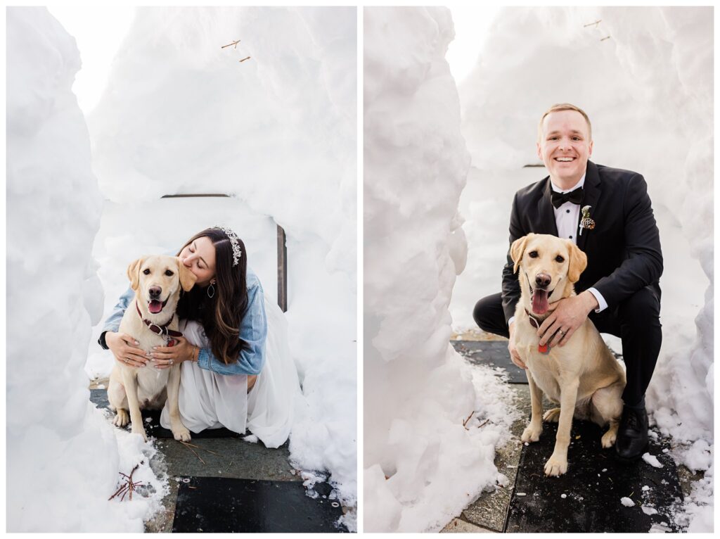 bride and groom kissing their yellow lab in snow