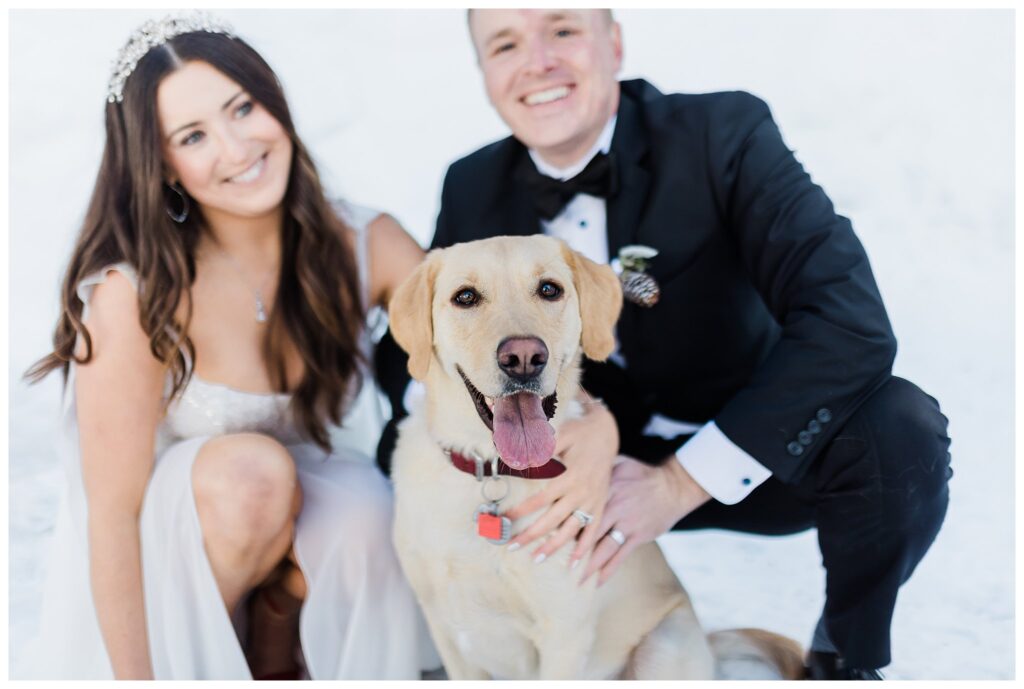 lake tahoe bride and groom snuggling with yellow lab in the snow