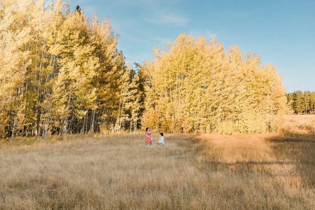 Two people standing in a field with trees in the background, capturing their Lake Tahoe engagement in the fall.
