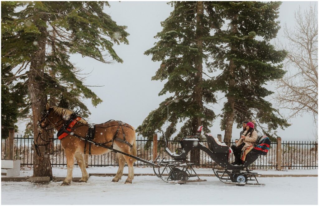 A person in a winter coat sits in a horse-drawn sleigh on a snowy path, surrounded by trees.