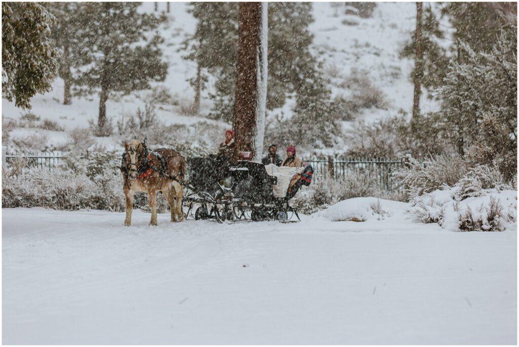 A horse-drawn sleigh carries passengers through a snowy landscape, surrounded by trees and falling snow.