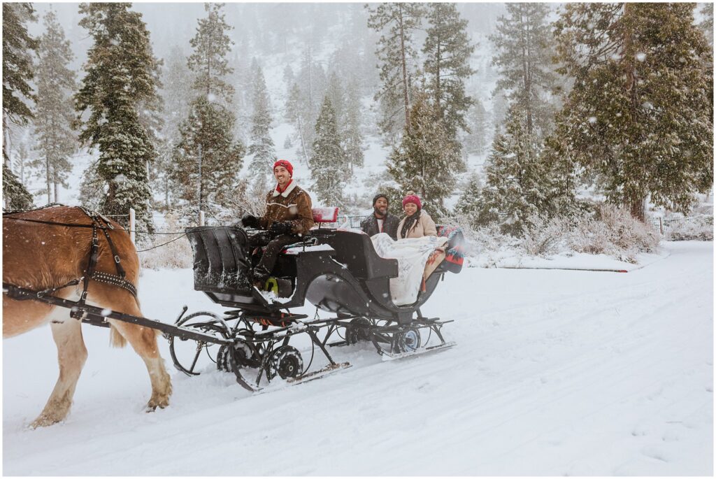 A horse-drawn sleigh with four people travels through a snowy, forested landscape.