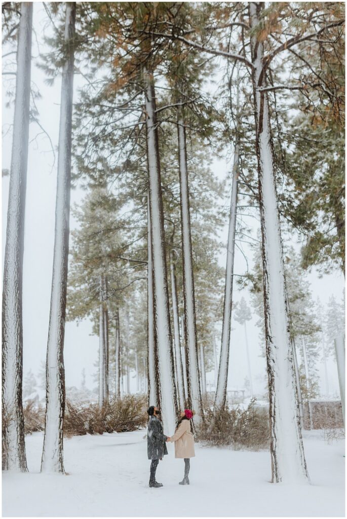 Two people stand in a snowy forest, surrounded by tall pine trees. They face each other, wearing winter coats and hats.