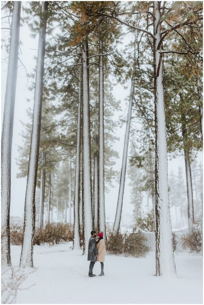 A couple stands on a snow-covered path surrounded by tall trees, embracing under a cloudy sky.