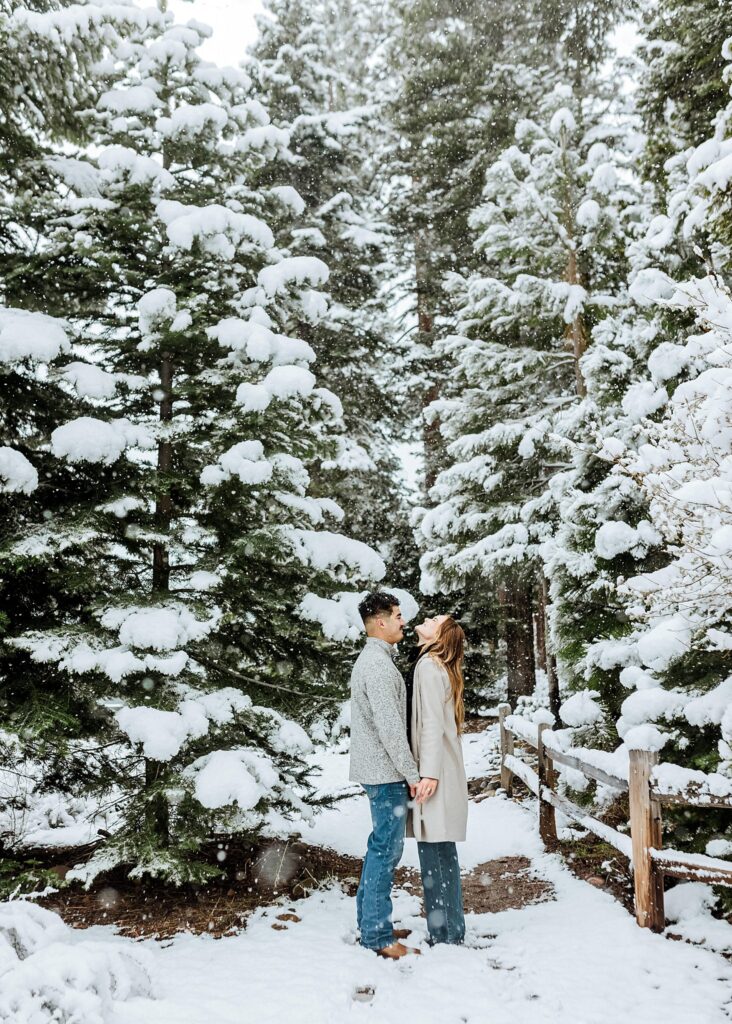A couple stands holding hands on a snowy forest path, surrounded by snow-covered pine trees and a wooden fence.