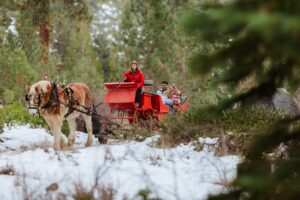 A horse pulls a red sleigh with three people through a snowy forested area, creating the perfect scene for a magical Lake Tahoe Winter Proposal.